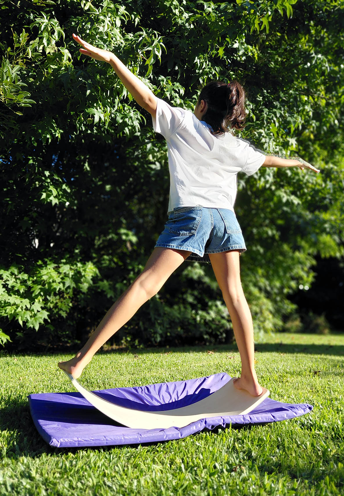 tabla de equilibrio - Image 2